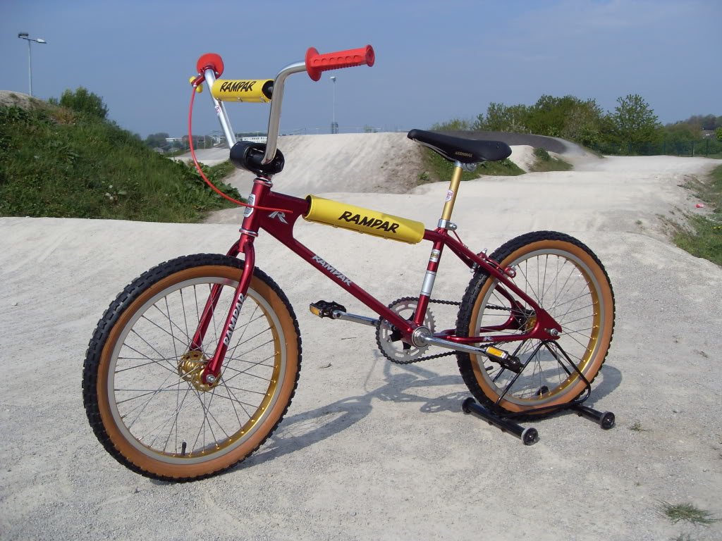 Raleigh discount rampar r10